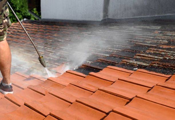 Best Pressure Washing Company Near Me  in Dauphin Island, AL