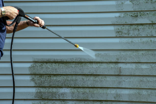 Professional Pressure Washing in Dauphin Island, AL