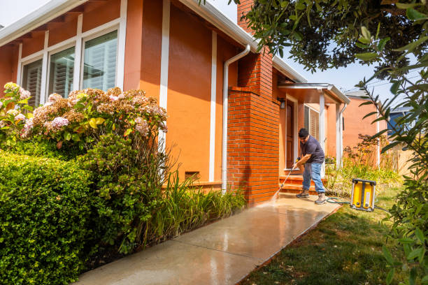 Best House Pressure Washing  in Dauphin Island, AL