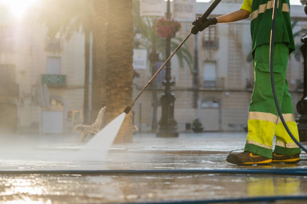 Best Roof Power Washing Services  in Dauphin Island, AL