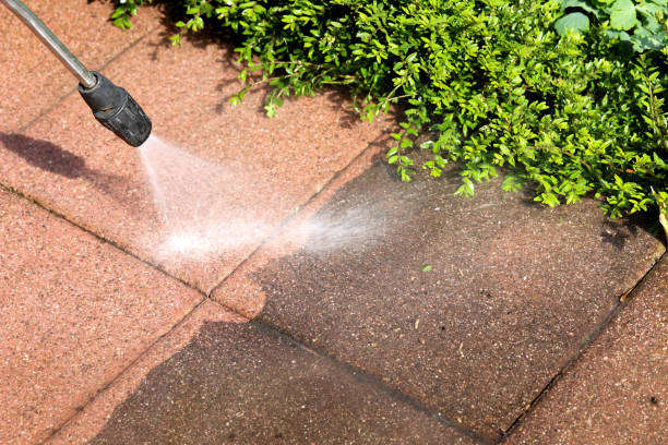 Best Deck Cleaning Services  in Dauphin Island, AL